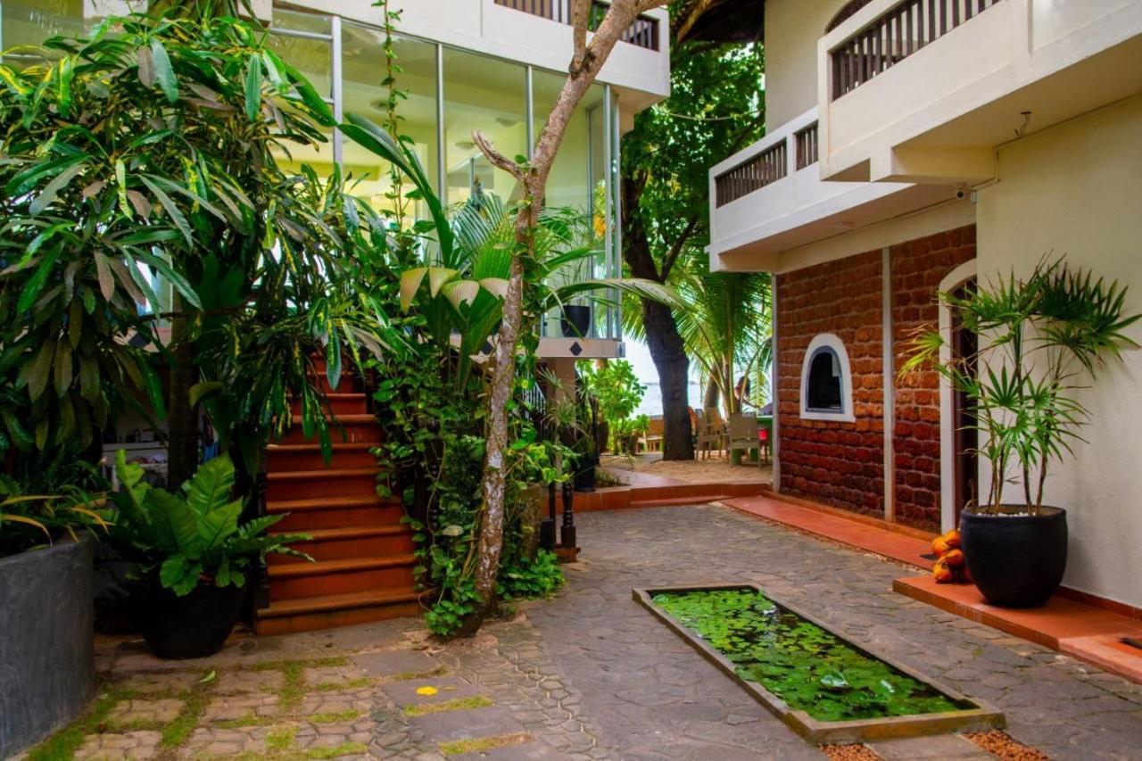 La Veranda Di Serena Unawatuna Εξωτερικό φωτογραφία